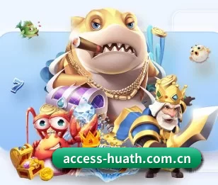 access-huath.com.cn的故事